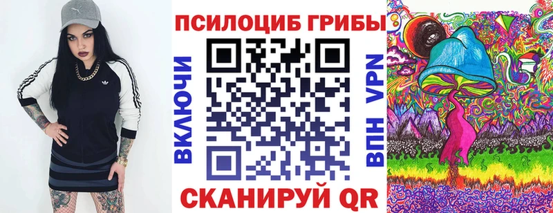 Купить  Дыгулыбгей  Галлюциногенные грибы прущие грибы 